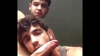 Gay Sex Web